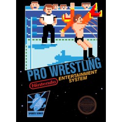 Pro Wrestling (Nintendo...