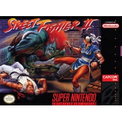 Street Fighter 2 The World...